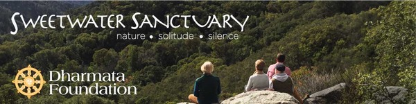 kellys-image-and-logo